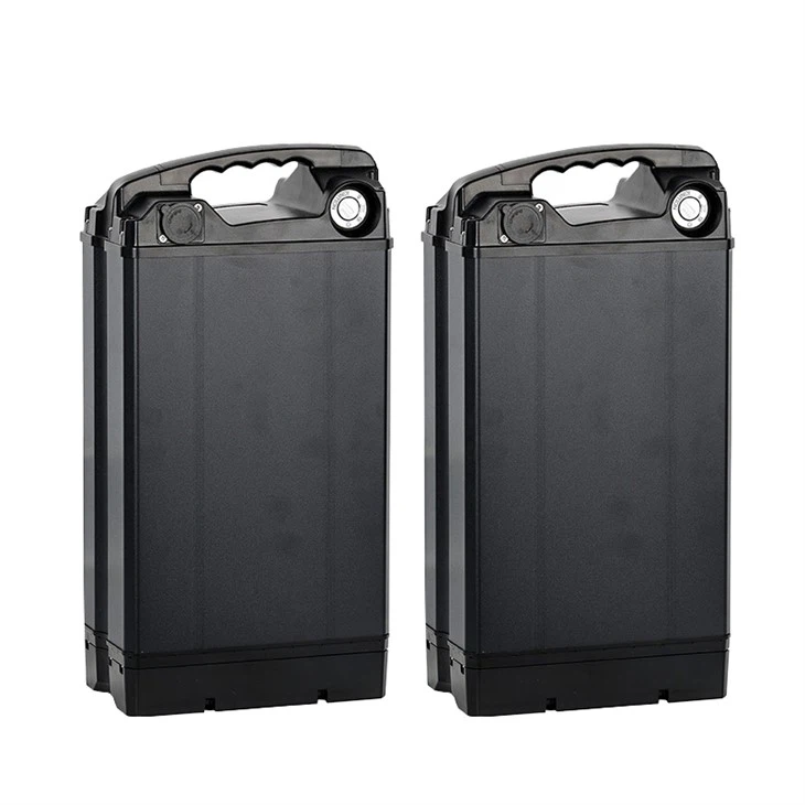 48V Electric Bicycle Lithium Battery Pack